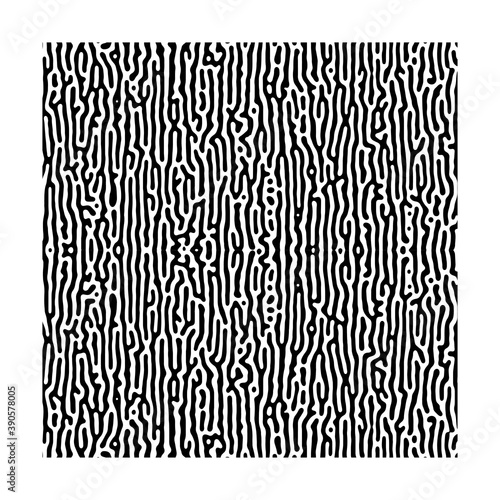 Seamless Reaction diffusion or turing pattern vector design caused by reaction–diffusion system similar to maze or coral pattern. organic and biological chemical reaction pattern