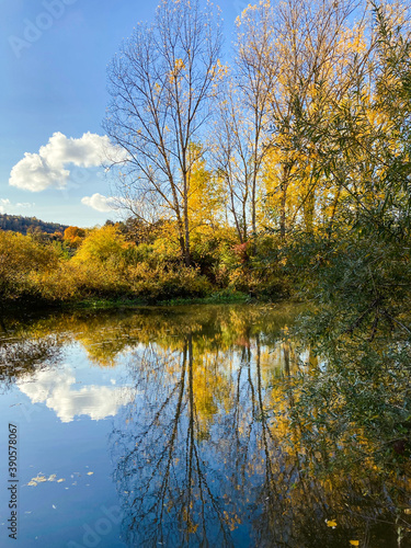 Herbstimpressionen spiegeln sich im Main bei Winterhausen