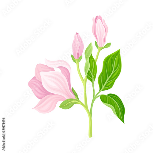 Florescent of Flower Branch with Lush Petals and Green Leaves Vector Illustration