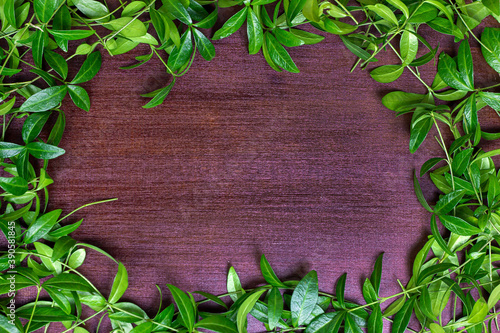 Top view of fresh green tropical plant leaves as a frame on light brown wooden background with copy space.