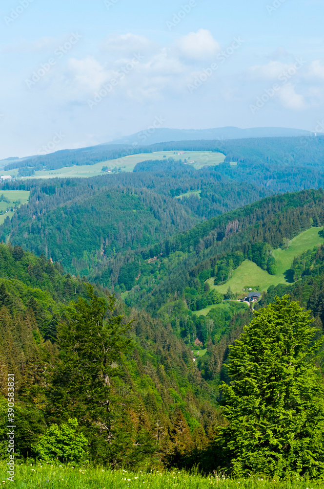 Fototapeta premium Black Forest landscape, Germany