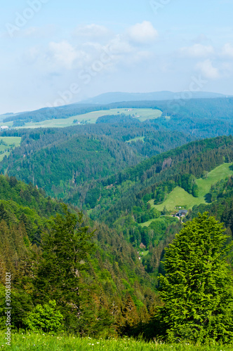 Black Forest landscape  Germany