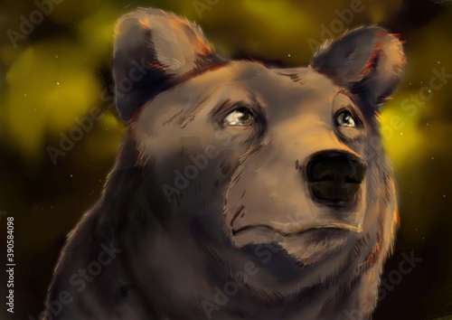 Sad bear in forest