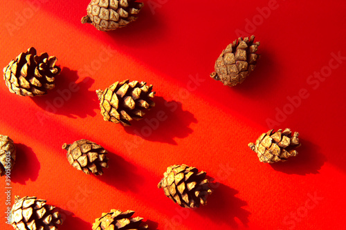 Set of spruce cones on bright red background with contrasting shadows. Concept of celebrating new year