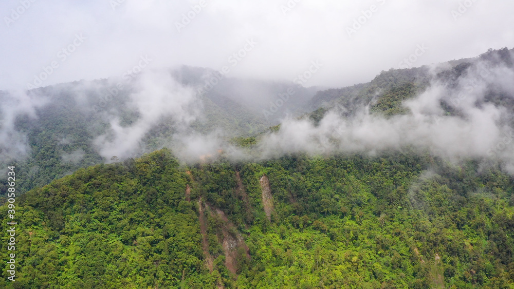 Aerial drone of rainforest on the mountain slopes with clouds. Philippines, Mindanao.