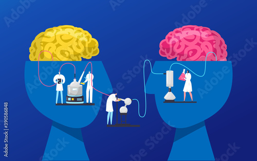 Male and female brain, human heads, man and woman faces profiles with brains and scientists research gender, anatomy difference, vector illustration. Male and female mental capacity, intellect,r mind.