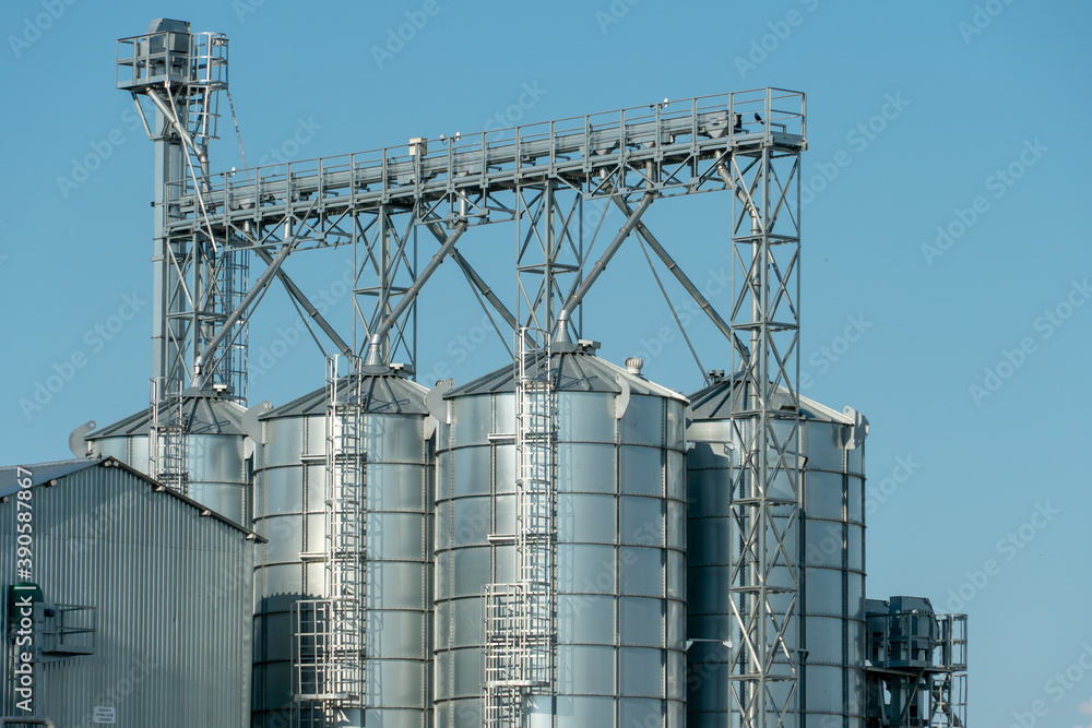 silver silos on agro manufacturing plant for processing drying cleaning and storage of agricultural products, flour, cereals and grain. Large iron barrels of grain. Granary elevator