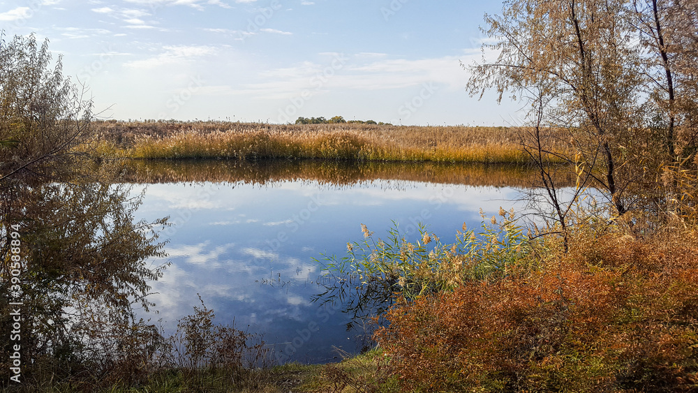 Fototapeta premium Fishing on the lake 
