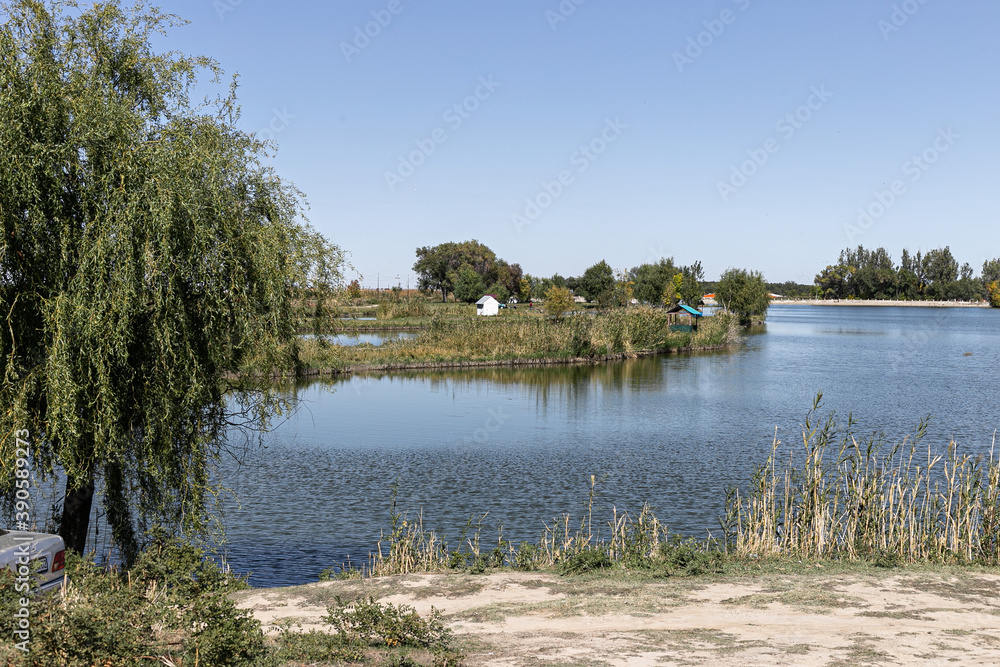 Lake, reeds and wild ducks