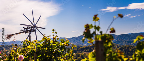 Styrian Tuscany like Vineyard with windmill, Panorama of grape crops in Slovenia spicnik.