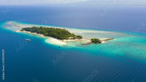 Top view of small tropical Little Liguid Island in the blue sea with a coral reef and the beach. Little Cruz Island  Philippines  Samal.
