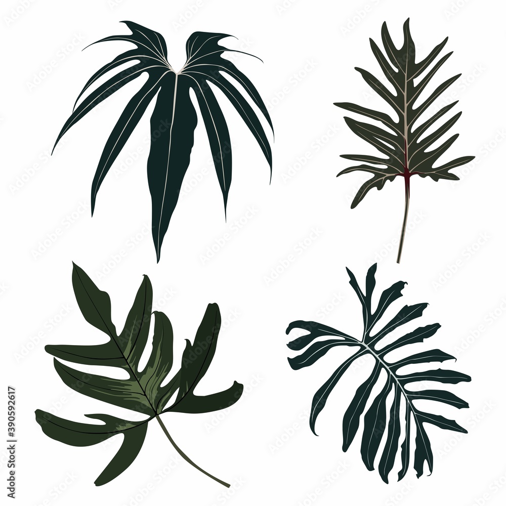 Realistic illustration set of tropical dark leaves isolated on white background. Detailed colorful plant collection. Botanical elements for cosmetics, spa, beauty care products.