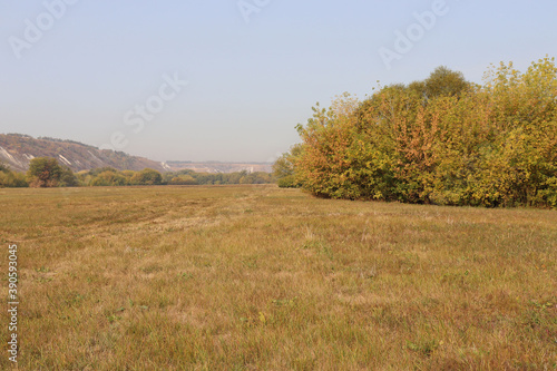 autumn landscape with trees