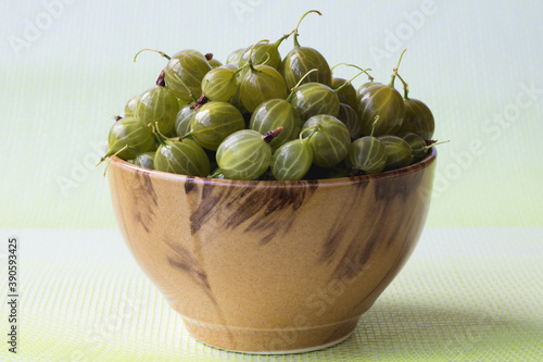 Gooseberries only from the garden