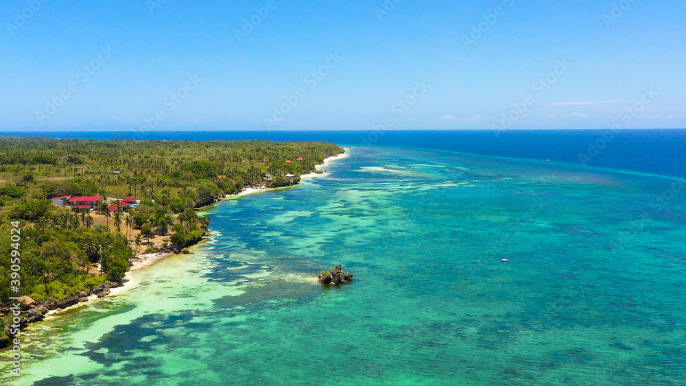 Fototapeta premium Beautiful sandy beach and turquoise water in Anda resort, Philippines.
