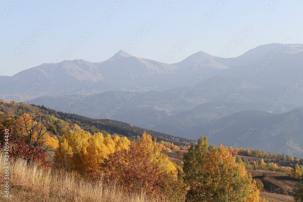 green fir trees in yellow and red colored autumn mountain forest.artvin 