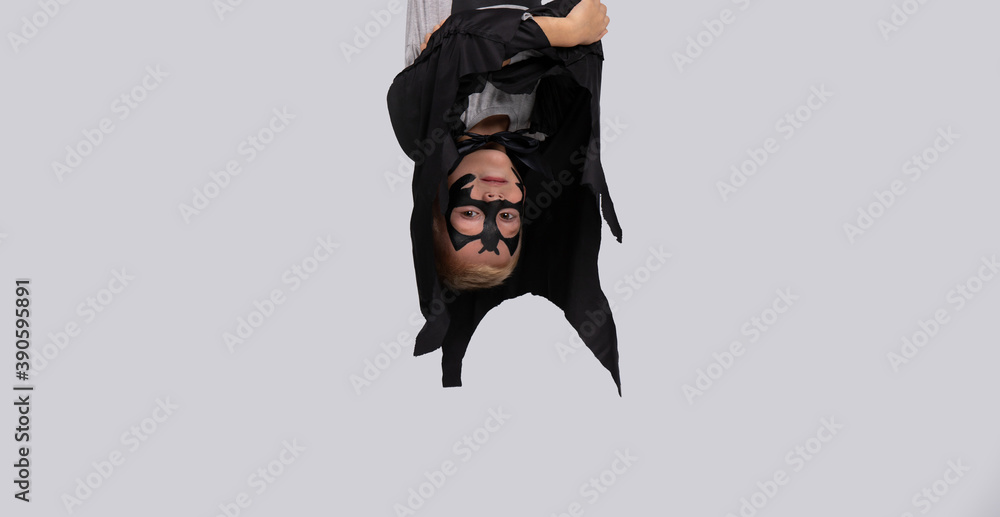 The bat is hanging on the tree. Forest animal. White isolated background with free space. halloween concept