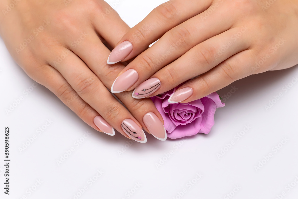 Extension of nails. Wedding french white manicure with painted flowers on sharp long nails holding a pink rose. Close-up on a white background.