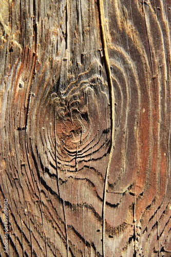 Old wooden texture close up.