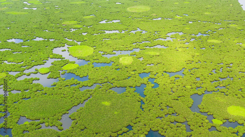 Aerial drone of of Lake Baloi with mangrove green tree forest. Mindanao, Philippines. Aerial drone of of Lake Baloi with mangrove green tree forest. Mindanao, Philippines.
