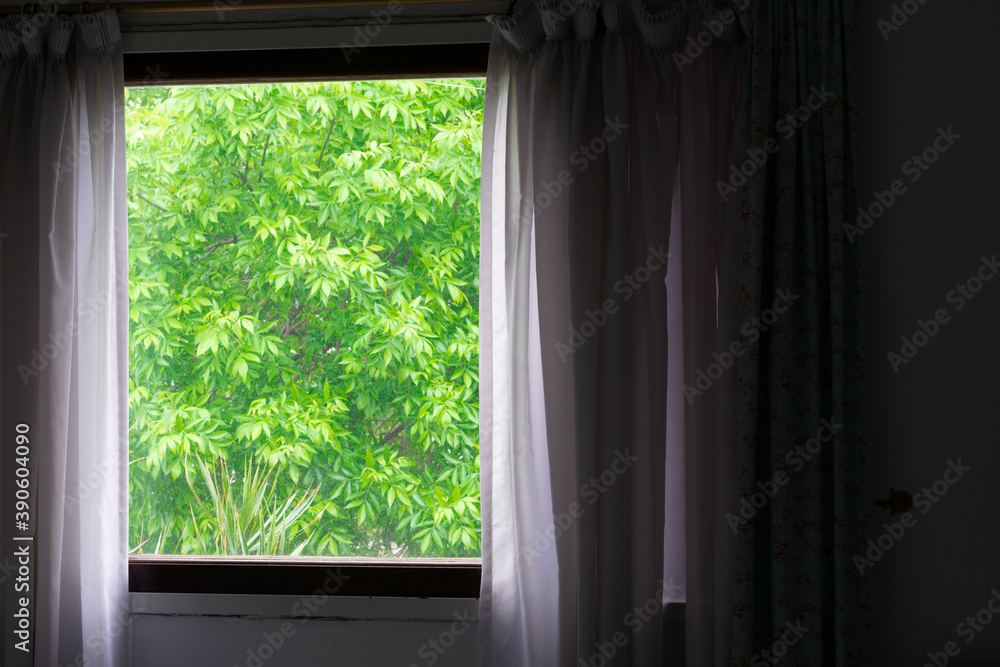 window with drawn curtain with green leaves background window with drawn curtain with green leaves background