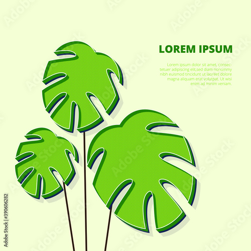 illustration of a green monstera leaf