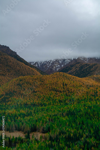 landscape of the mountains
