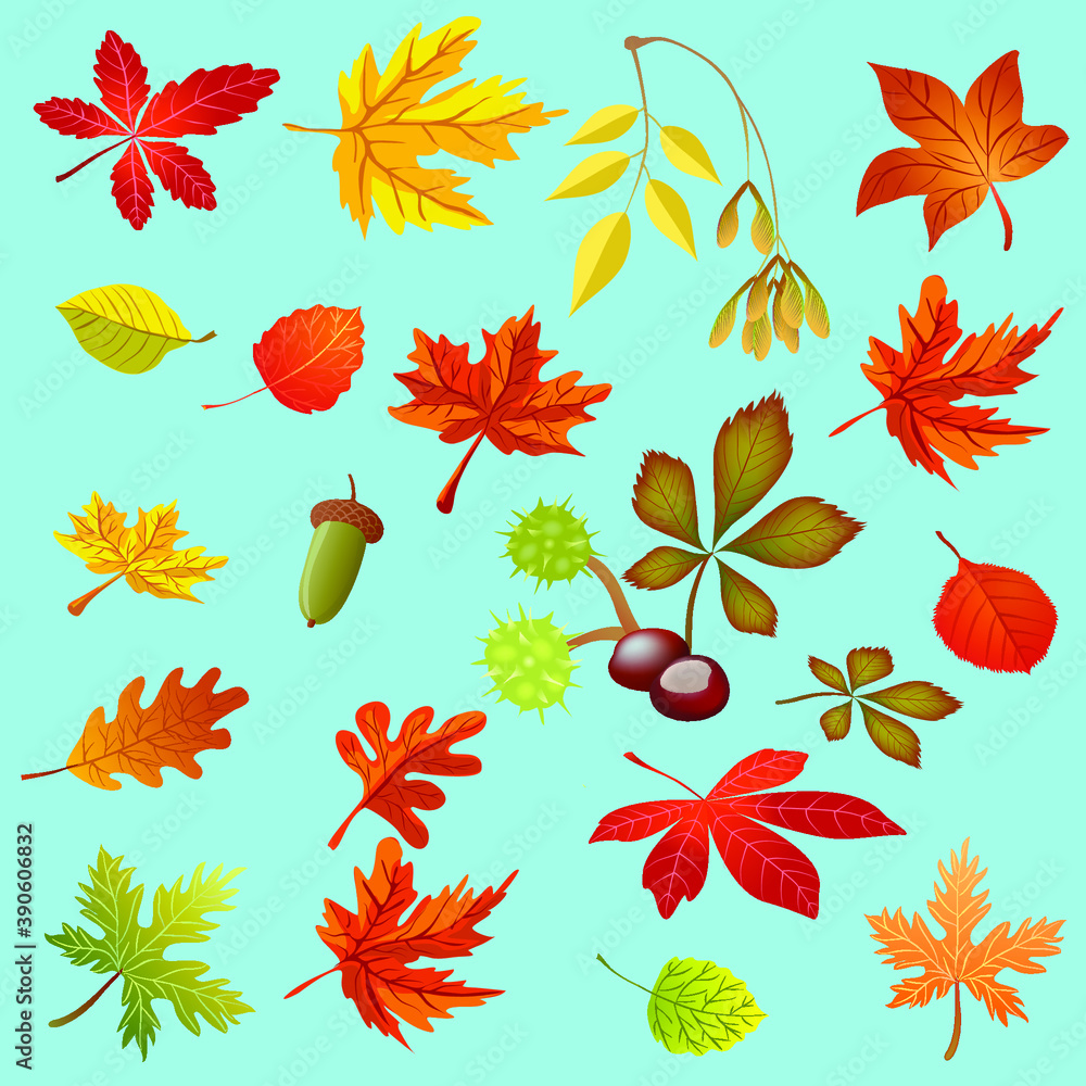 Obraz premium autumn leaves background, Birch, maple, poplar, oak, chestnut, acorn,