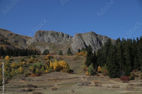 Autumn fall red colorful maple trees and farm land rolling hills aerial above high angle view landscape.turkey