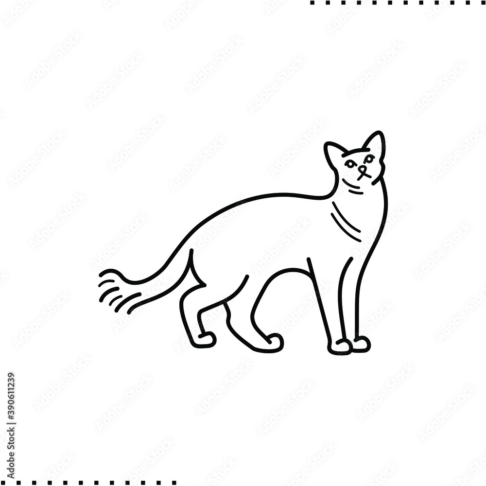 Balinese cat breed vector icon in outlines