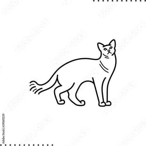 Balinese cat breed vector icon in outlines
