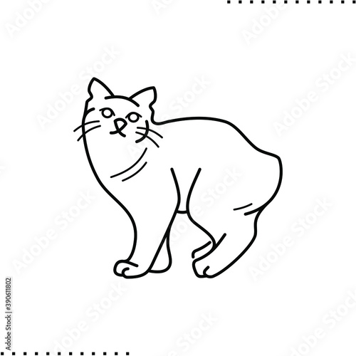 Foto Manx cat breed vector icon in outlines