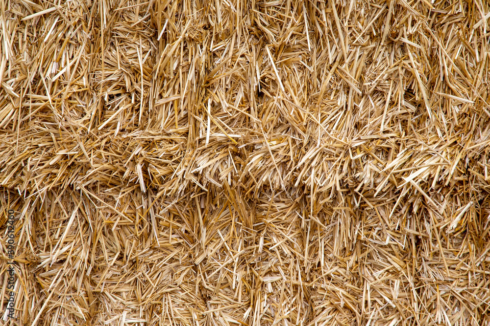 The pressed straw texture and background The pressed straw texture and background