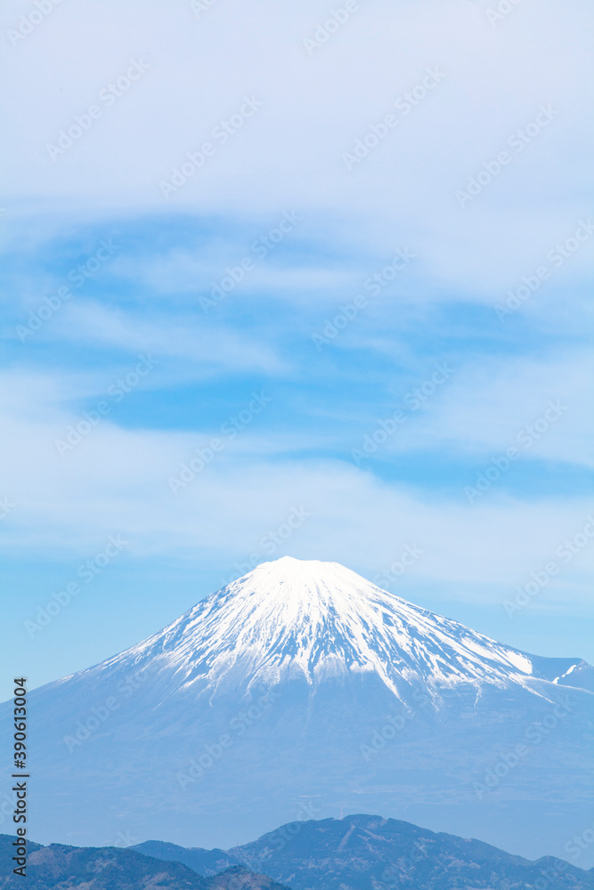 日本平から見た富士山