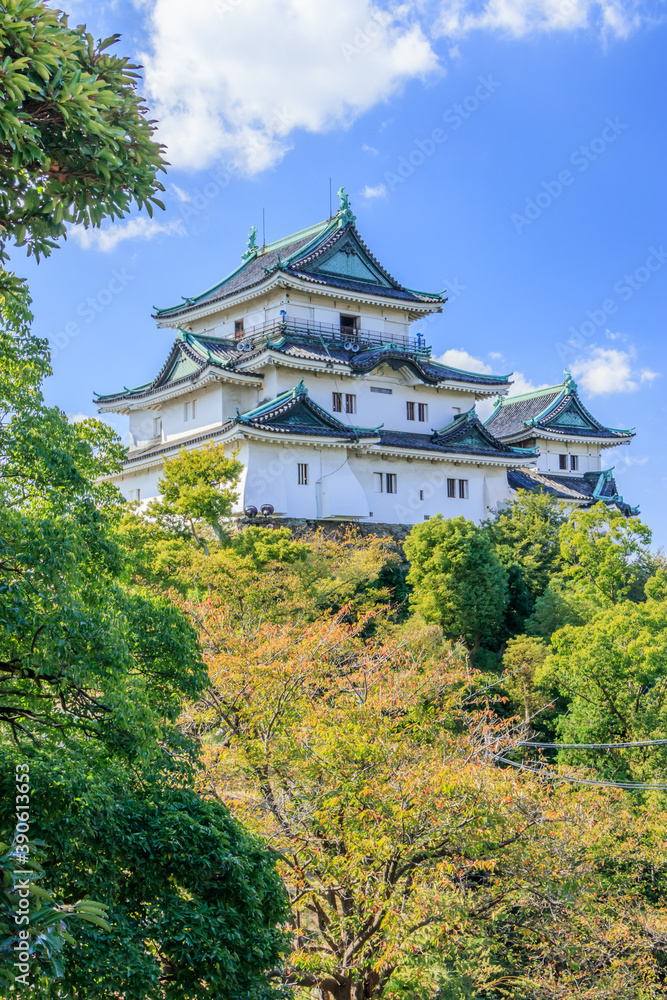和歌山城 和歌山県和歌山市 Wakayama
castle Wakayama-ken Wakayama city 和歌山城 和歌山県和歌山市 Wakayama
castle Wakayama-ken Wakayama city