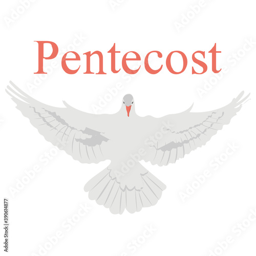 
A holy apostle or angel with open feathers is describing the idea of pentecost 
