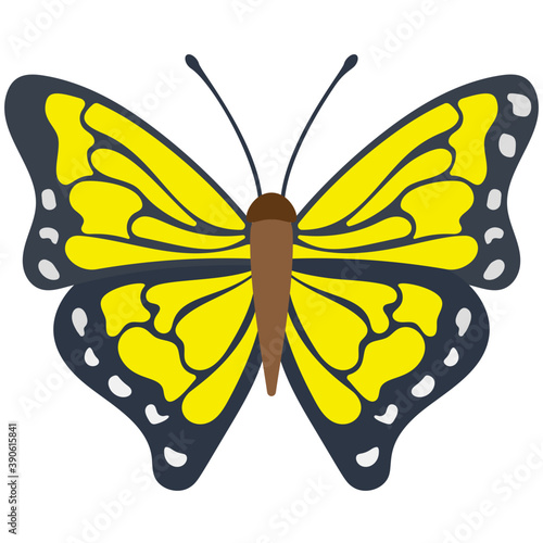 
Flat icon design of a butterfly
