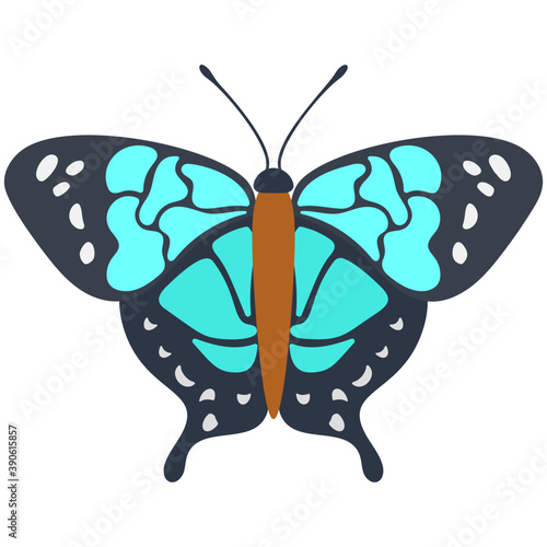 
A colored butterfly flat icon image
