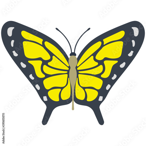 
Flat icon design of a butterfly
