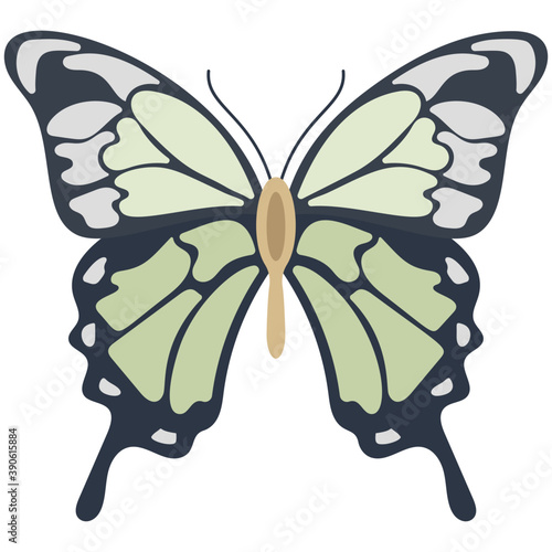 
Flat icon design of a butterfly
