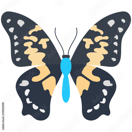 
Flat icon design of a butterfly

