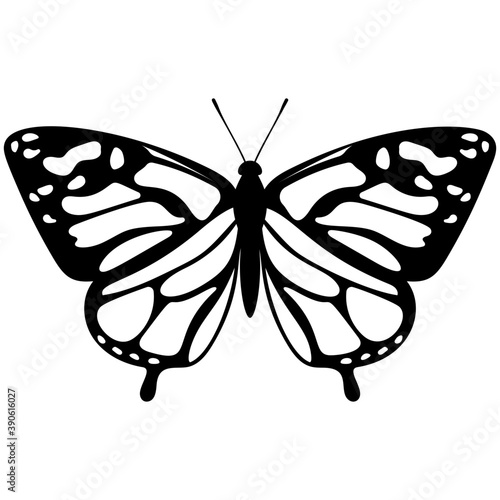 
Brown colored Swallowtail butterfly flat icon image
