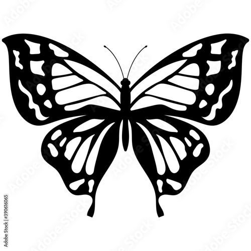 
Flat icon design of a butterfly
