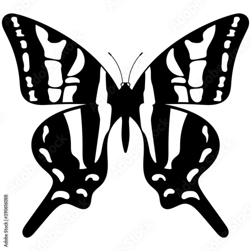 
Flat icon design of a butterfly
