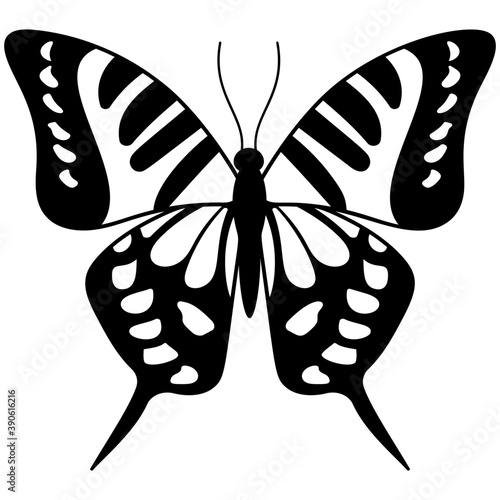 
Flat icon design of a butterfly
