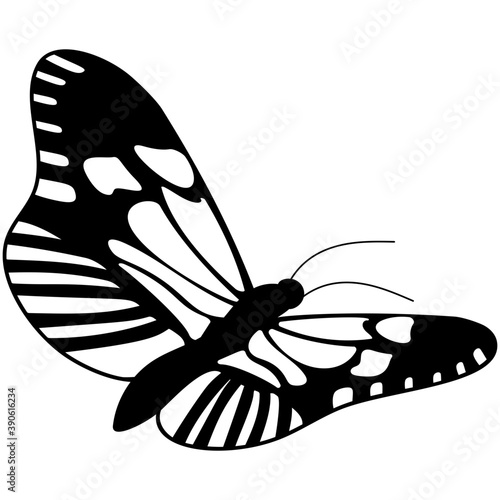 
A colored butterfly flat icon image
