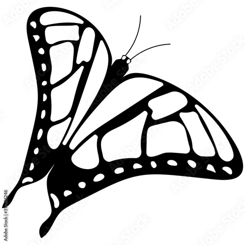 
Flat icon design of a butterfly

