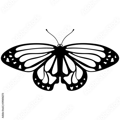 
Brown colored Swallowtail butterfly flat icon image

