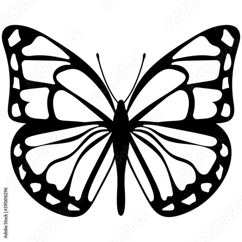 
A colored butterfly flat icon image
