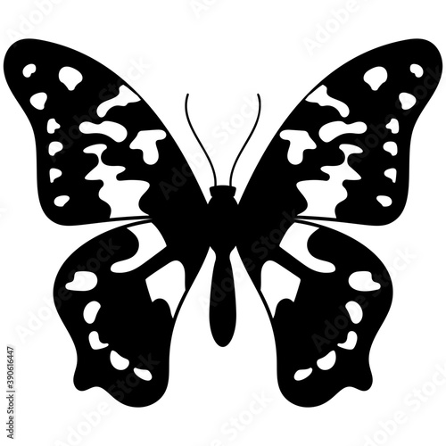 
Flat icon design of a butterfly
